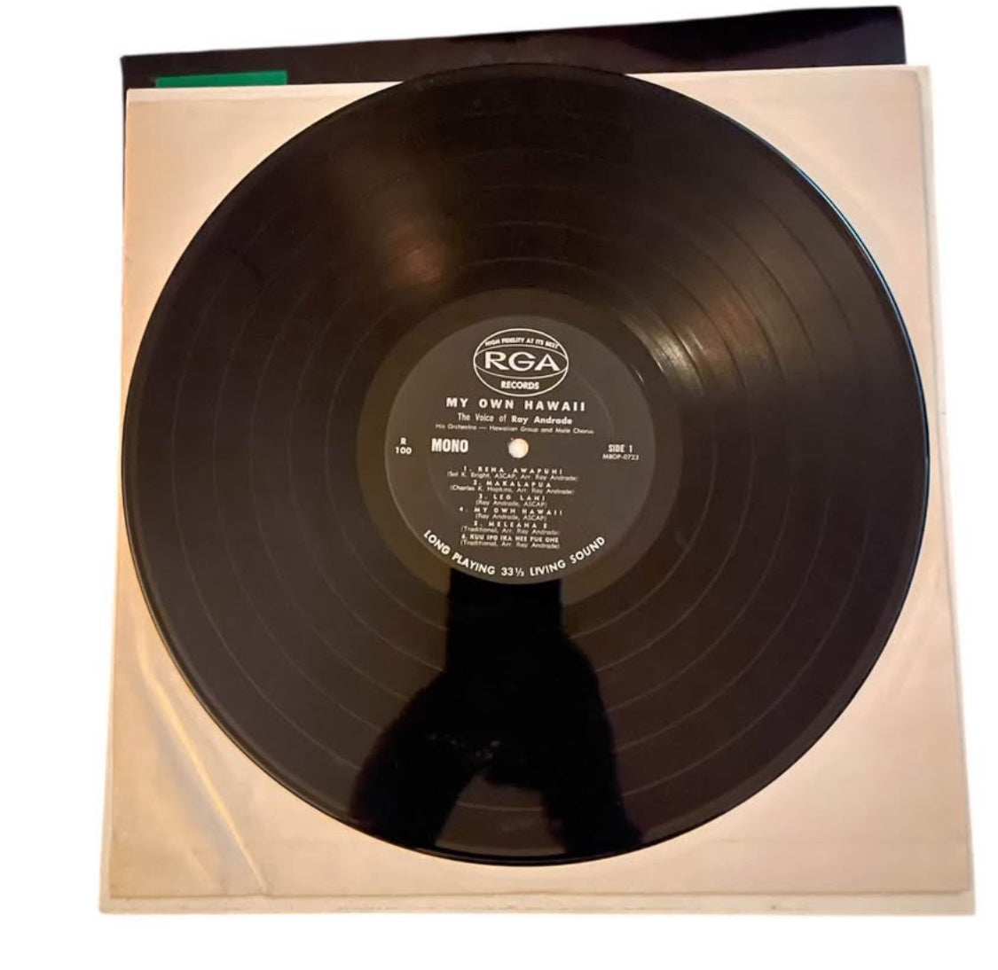 My Own Hawaii by Ray Andrade