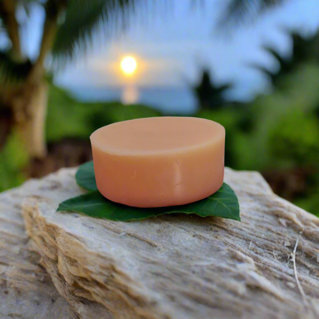 Pink Moon Hydrating Solid Lotion Bar Hip Crypt Atrium Apothecary 
