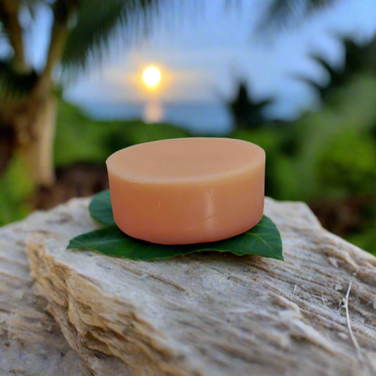 Pink Moon Hydrating Solid Lotion Bar Hip Crypt Atrium Apothecary 