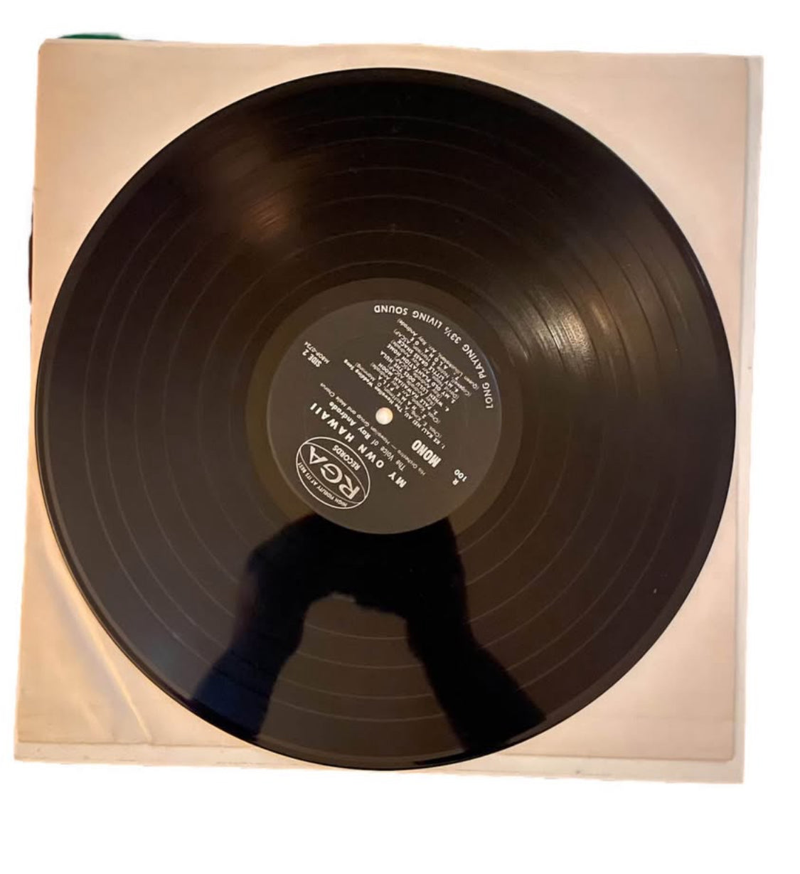 My Own Hawaii by Ray Andrade