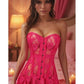 Lavish Fuchsia Sheer Lace Corset Dress
